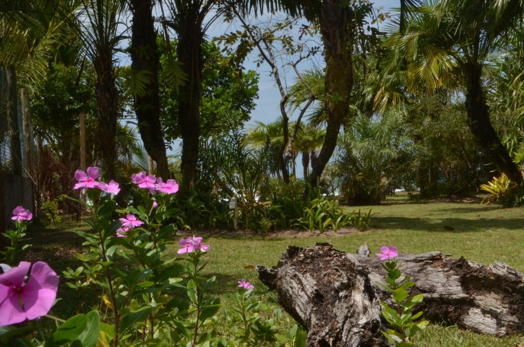 Pousada Tortuga Barra Grande  Exterior photo